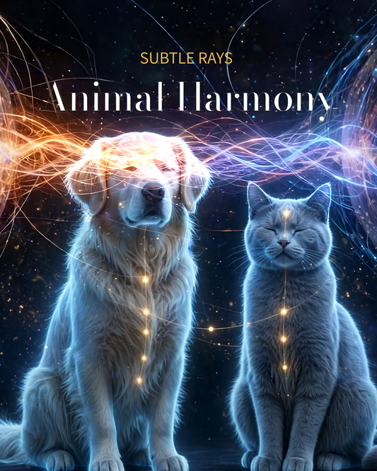 Animal Harmony