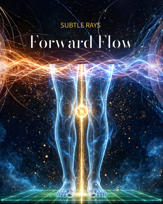 Forward Flow