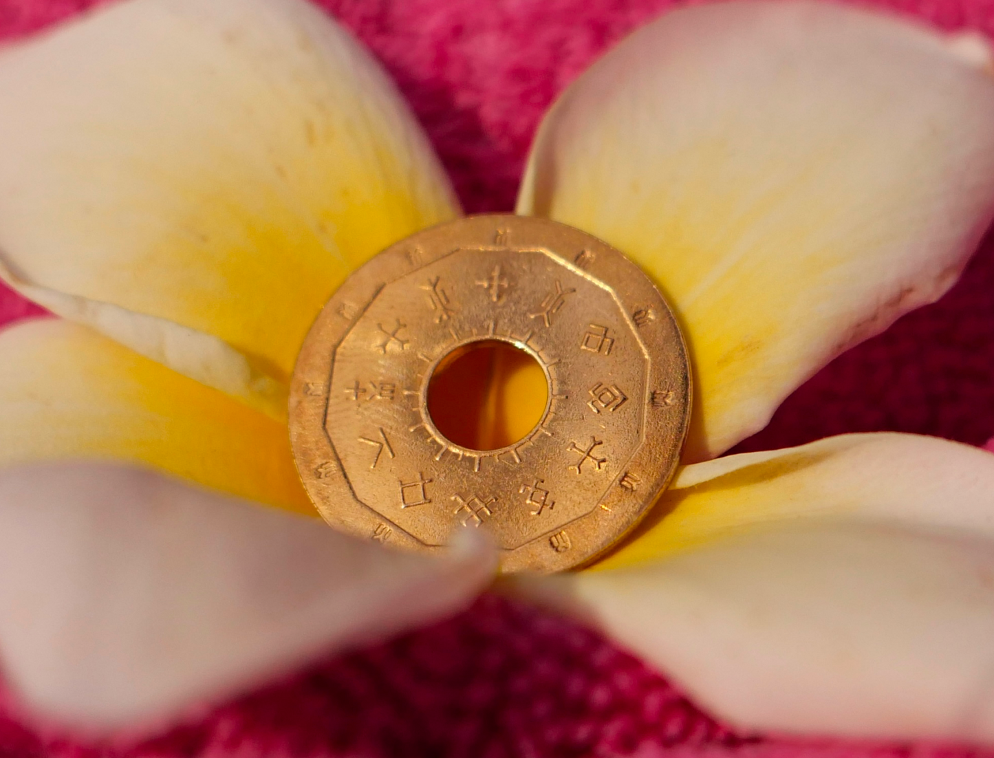 Flower of Peace